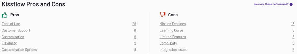 KissFlow Pros and Cons